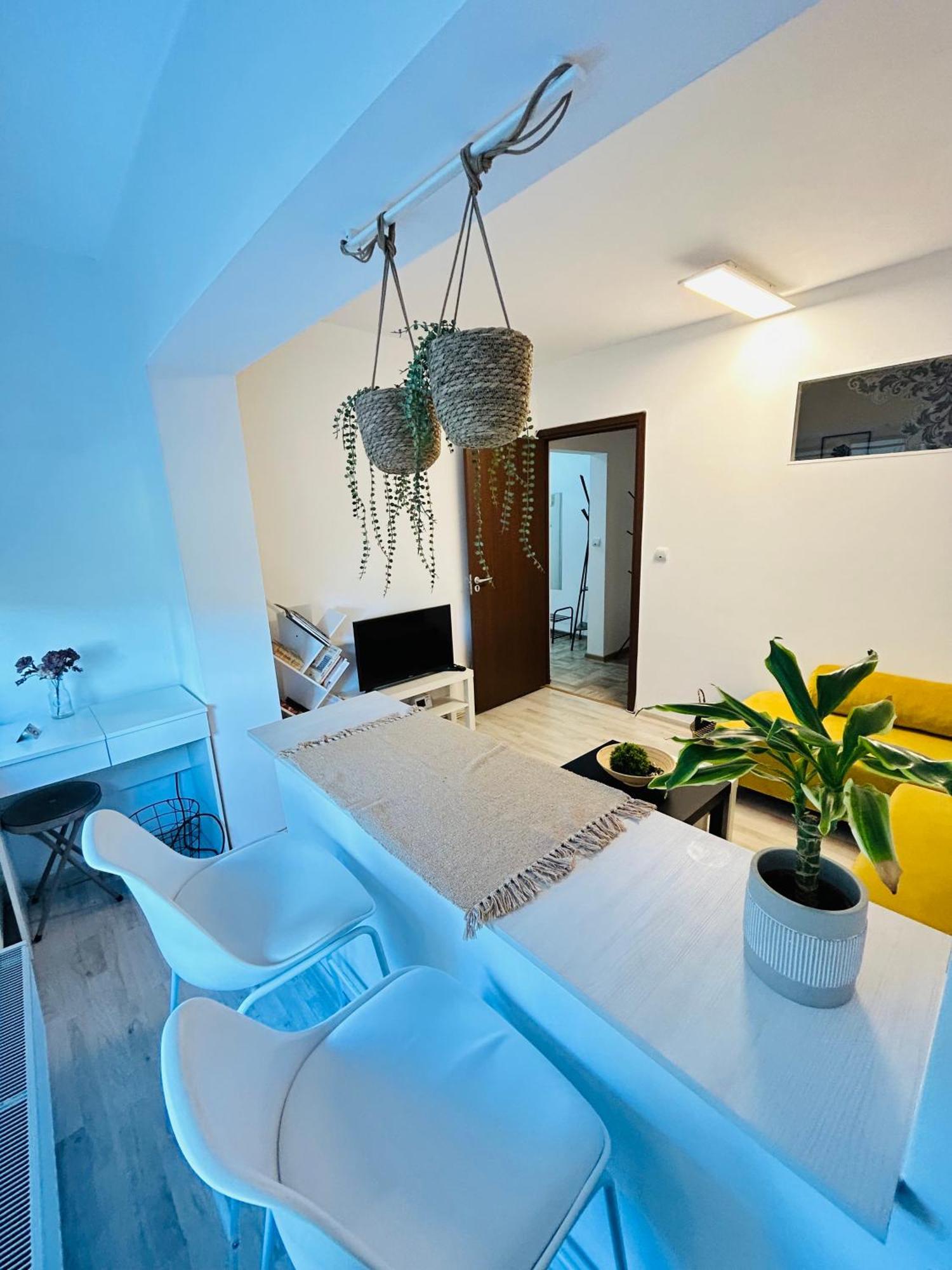 Alisz Apartments Timisoara Exterior photo
